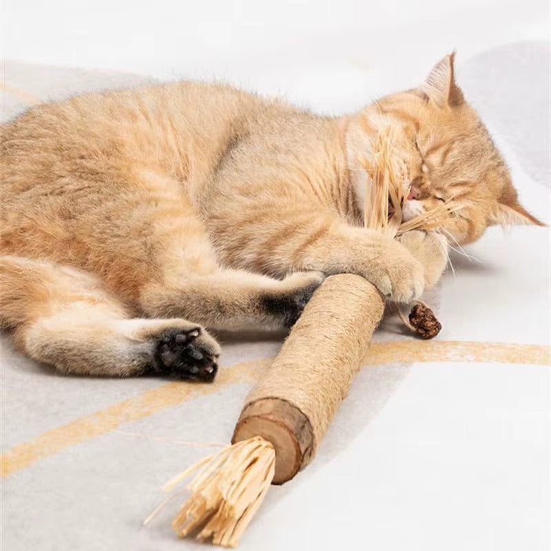 Zubní kartáček PurrfectBite™ Silvervine