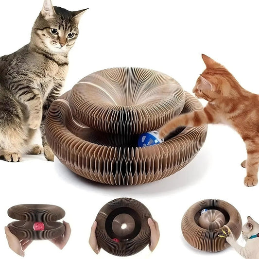 CurlCraze™ Cat hřiště